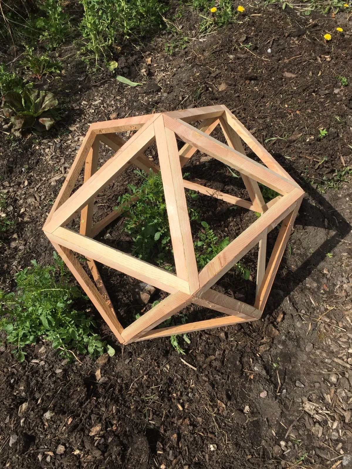 Highland Domes build process - handcrafted geodesic dome assembly with Douglas Fir timber